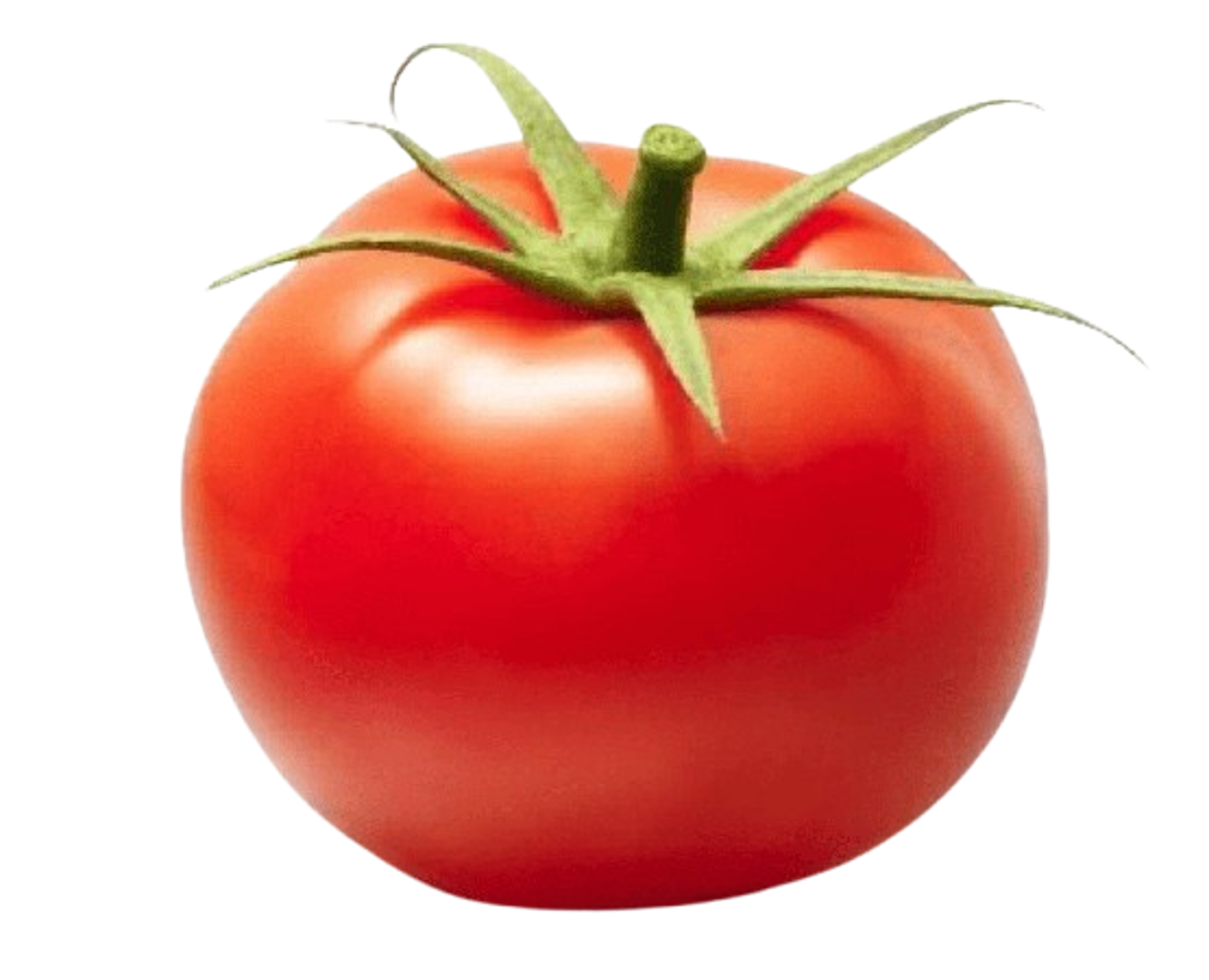 Tomatoes Vine