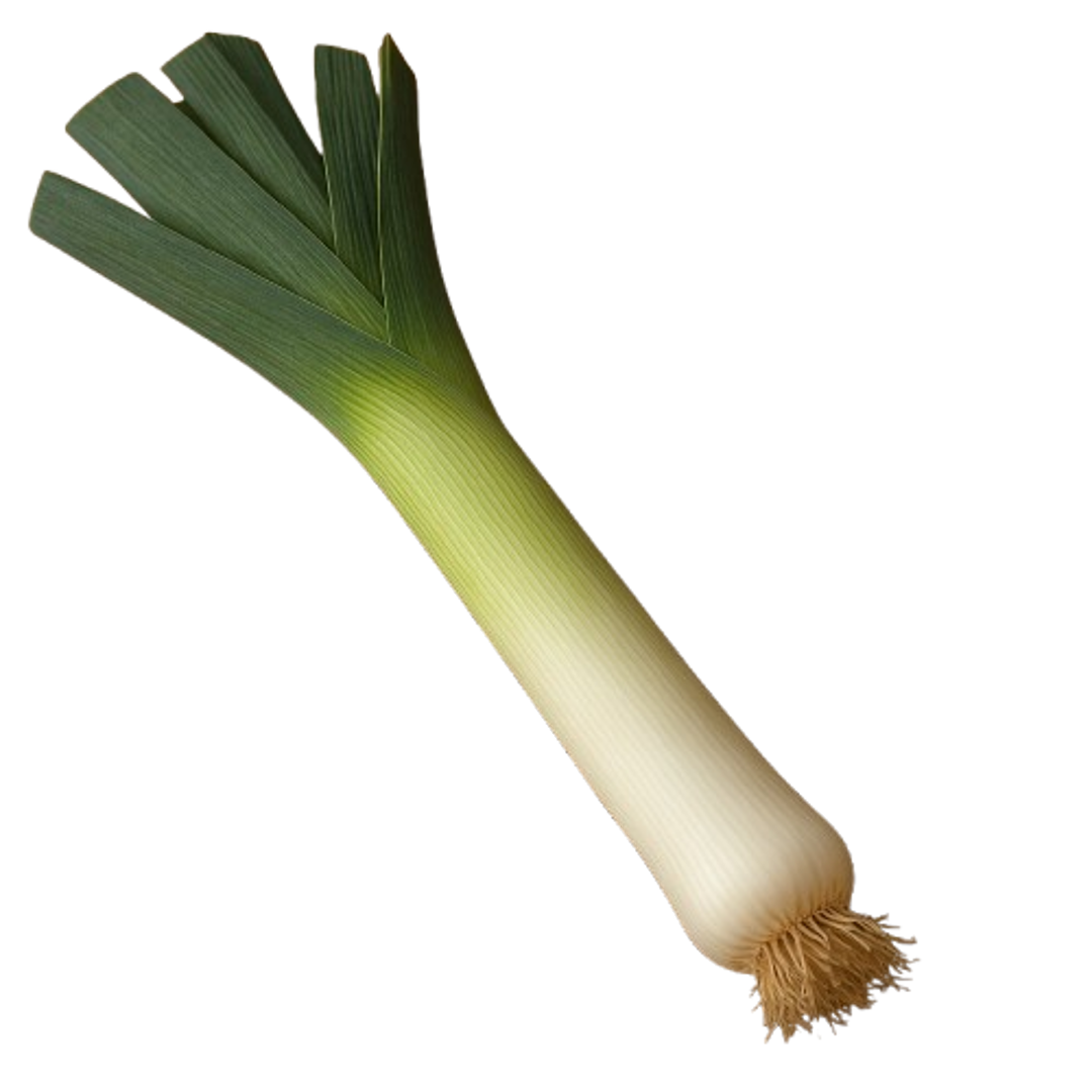 Leek