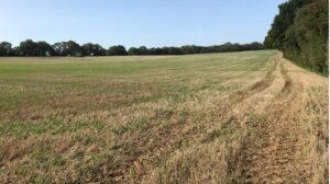 Preston Farm Solar Park 300x225
