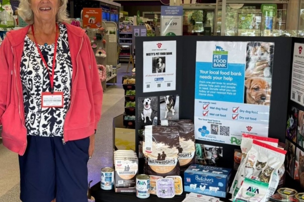 Every Paws Matters Bournemouth