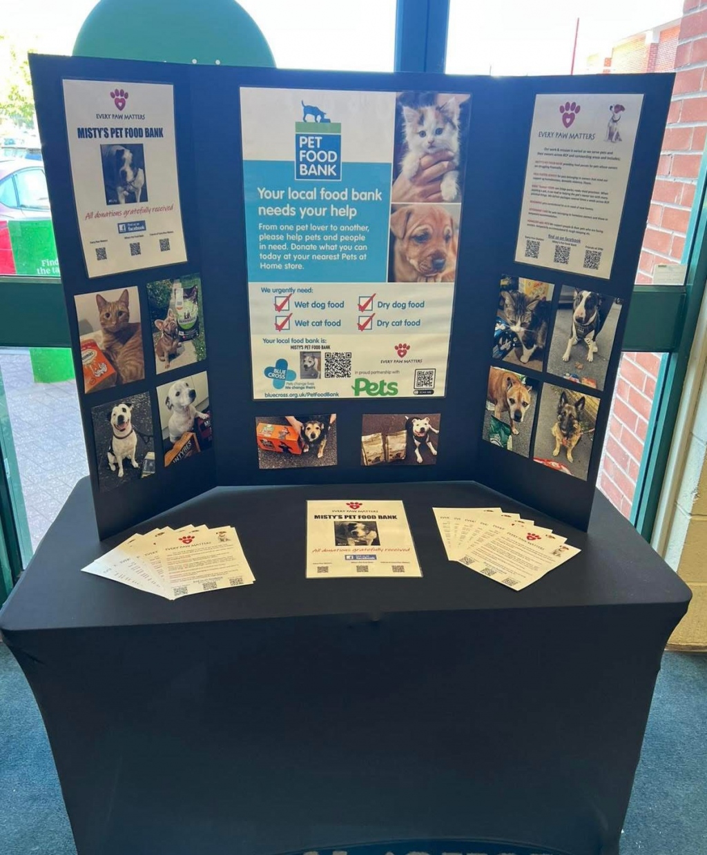 Every Paws Matters Bournemouth