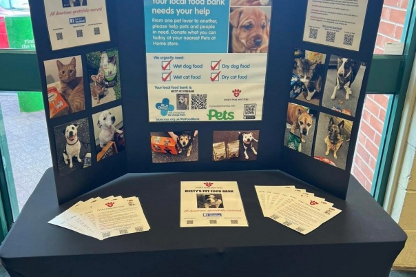 Every Paws Matters Bournemouth