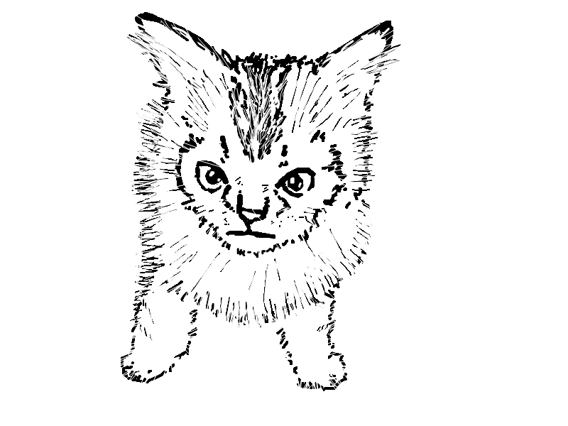 Drawing or art by RookieTerror