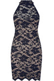 Navy & Nude Floral Lace Mini Bodycon Dress