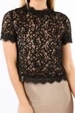 u/430/11852-_Contrast_Lace_Short_Sleeve_Top_In_Black-5__13906.jpg