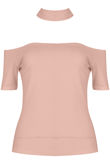 Choker Neck Cut Out Top in Rose 