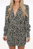 Animal Print Ruched Mini Dress