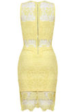 Yellow Floral Lace Lined Back Zip Up Fitted Dress