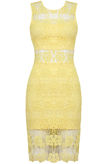 Yellow Floral Lace Lined Back Zip Up Fitted Dress