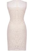 Beige Floral Lace & Mesh Sleeveless Fitted Pencil Dress