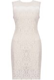 Beige Floral Lace & Mesh Sleeveless Fitted Pencil Dress