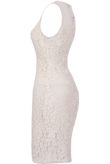 Beige Floral Lace & Mesh Sleeveless Fitted Pencil Dress