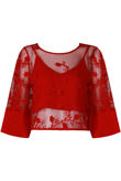 Red Lace Sheer Mesh Overlay Croptop