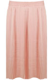 Rose Elasticated Waist Pleated Flare Skirt
