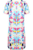 Multicolour Aztec Print Back Zip Up Shift Dress