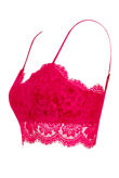 Fuchsia Eyelash Lace Bralet