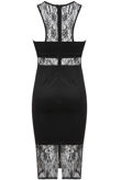 Black Lace Mesh Detailed Bodycon Dress