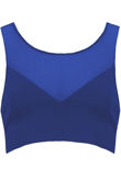 Sweetheart Mesh Panel Crop Top In Royal Blue