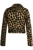 Leopard Cropped Biker Jacket