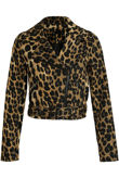 Leopard Cropped Biker Jacket