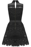 Black Floral Textured Netted Skater Dress