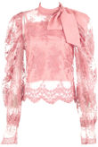 Rose Lace Mesh Knot Collar Blouse
