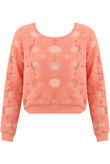 Rose Floral Netted Textured Long Sleeve Tops