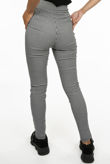 Check High Waisted Skinny Trouser