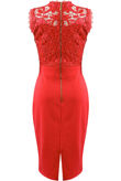 Crochet Lace Overlay Bodycon Dress in Red