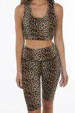 Brown Leopard Print Tops & Trouser Active Set
