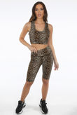 Brown Leopard Print Tops & Trouser Active Set