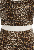 Brown Leopard Print Tops & Trouser Active Set