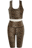 Brown Leopard Print Tops & Trouser Active Set