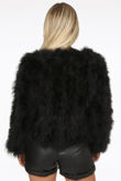 Navy Ostrich Feather Jacket 