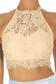 Nude High Neck Eyelash Lace Crop Top