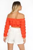 Orange Ruffle Long Sleeve Crop Top