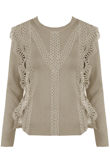 Beige Crochet Lace Long Sleeve Crop Tops