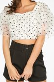 Polka Dot Tulle Crop Top