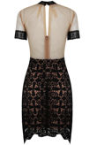 Floral Contrast Lace Textured Bodycon Dress