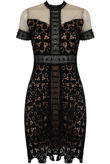 Floral Contrast Lace Textured Bodycon Dress