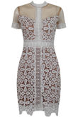 Floral Contrast Lace Textured Bodycon Dress