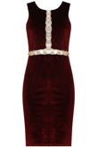 Wine Velvet Front Ring Trimming Bodycon Dress