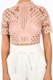 s/918/W1628-_Lace_Crop_Top_With_Bralet_Lining_In_Pink-5__69893.jpg
