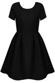 Black Pleated Back Zip Up Short Sleeved Flared Dress 