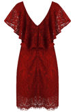 Wine Floral Lace Lined Shift Dress