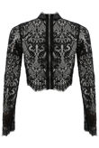 Black Lace Intricate Scallop Top