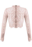 Pink Lace Intricate Scallop Top