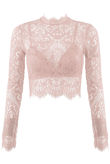 Pink Lace Intricate Scallop Top