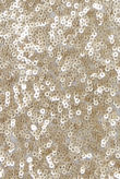 Gold Sequin Encrusted Fitted Blazer