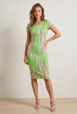 Neon Pink and Green Abstract Animal Print Cap Sleeve Midi Dress